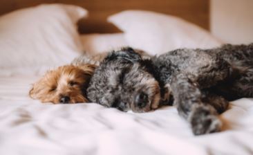 5 Popular Myths About Sleep Exposed